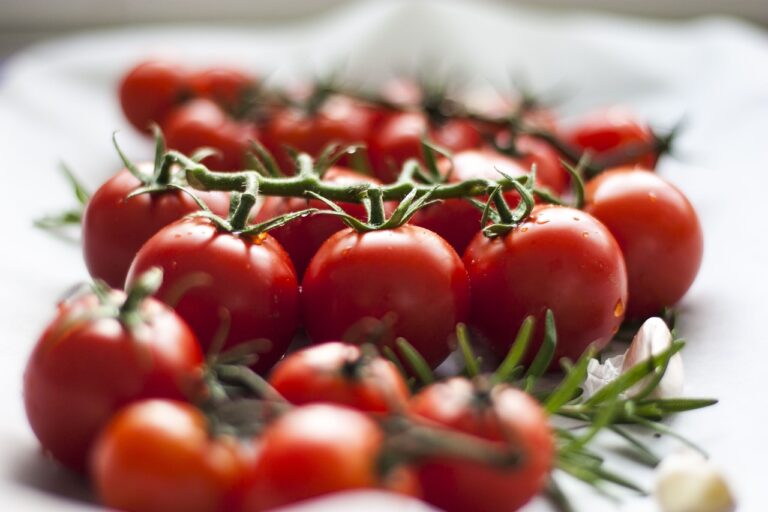The Art of Food Fermentation: Unlocking Flavor and Nutrition
