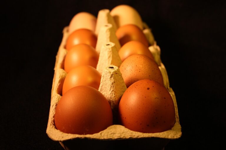 The Impact of Food Traceability Technologies on Export Market Efficiency