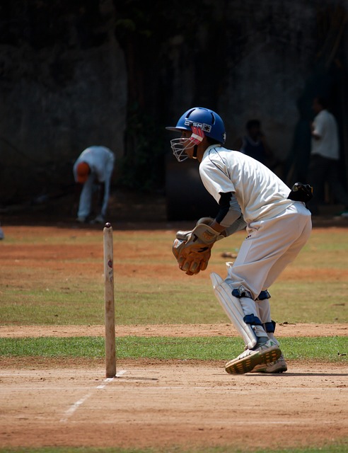 Cricket and Urban Development: Stadiums as Catalysts